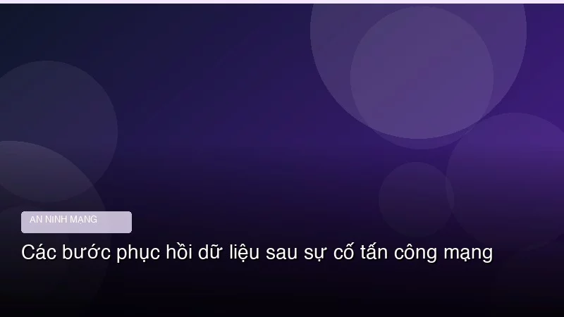 Các bước phục hồi dữ liệu sau sự cố tấn công mạng