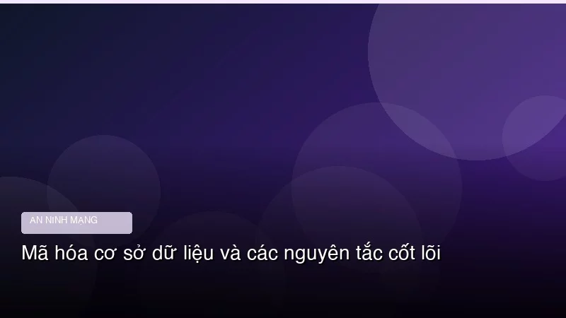 Mã hóa cơ sở dữ liệu và các nguyên tắc cốt lõi
