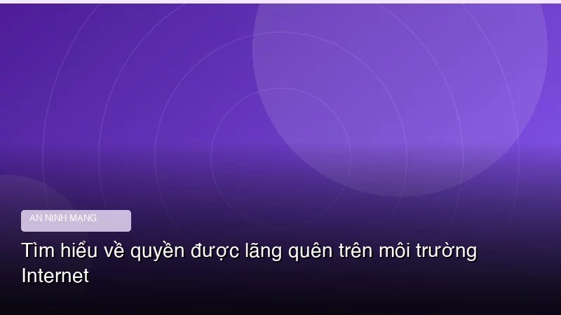 Tìm hiểu về quyền được lãng quên trên môi trường Internet